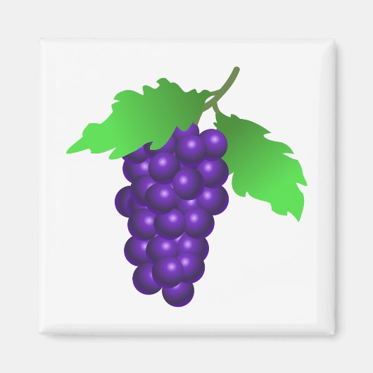 Trauben Magnet (Vorne)