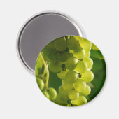Trauben Magnet (Vorderseite/Rückseite)