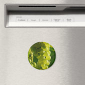 Trauben Magnet (In Situ (Geschirrspüler))