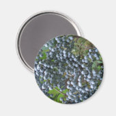 Trauben Magnet (Vorderseite/Rückseite)