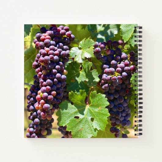 Trauben Notizblock (Rückseite)