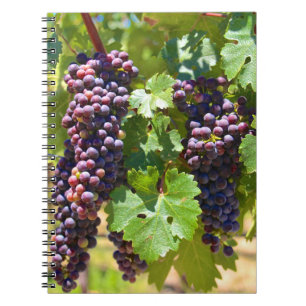 Trauben Notizblock