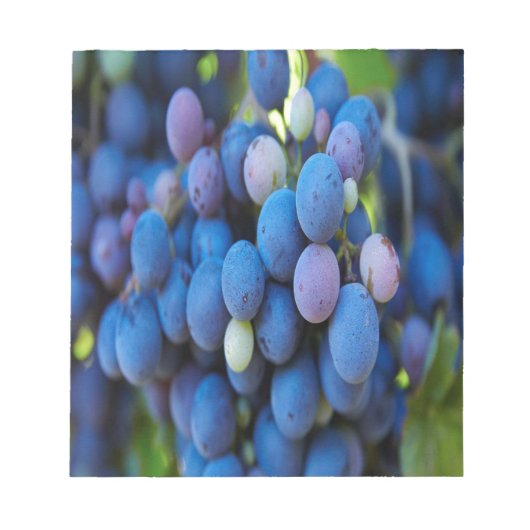 Trauben Notizblock (Vorderseite)