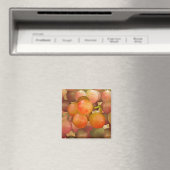 Trauben ohne Wrath Magnet (In Situ (Geschirrspüler))