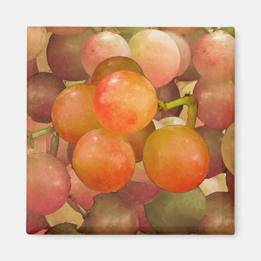 Trauben ohne Wrath Magnet (Vorne)