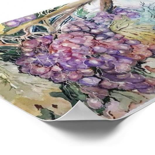 Trauben Poster (Ecke)