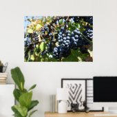 Trauben Poster (Heimbüro)