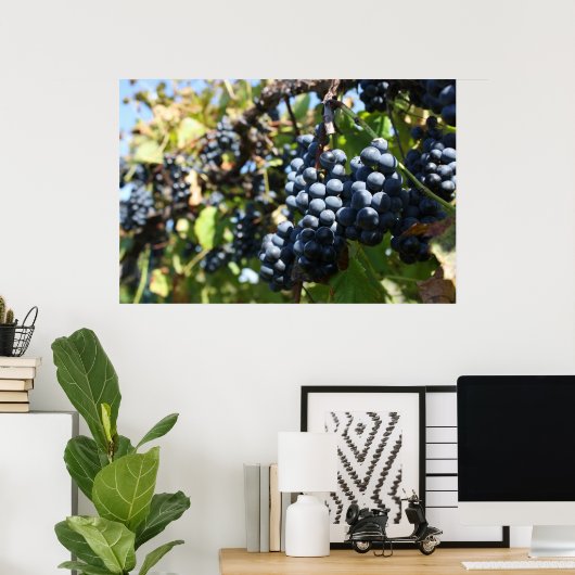 Trauben Poster (Heimbüro)