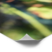 Trauben Poster (Ecke)