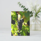 Trauben - Postkarte (Stehend Vorderseite)