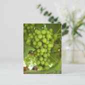 Trauben Postkarte (Stehend Vorderseite)