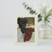 Trauben Postkarte (Stehend Vorderseite)