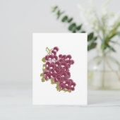 Trauben Postkarte (Stehend Vorderseite)