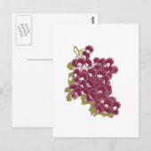 Trauben Postkarte (Vorne/Hinten)