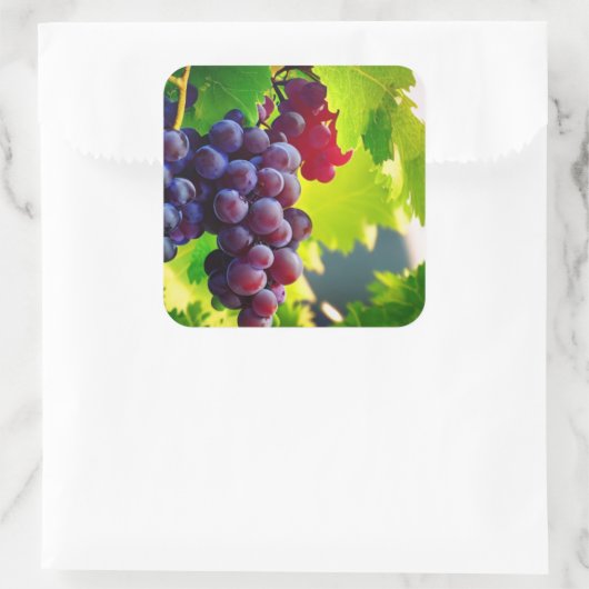 Trauben Quadratischer Aufkleber (Tasche)