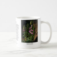 Trauben-Sodalupine-Kaffee-Tasse