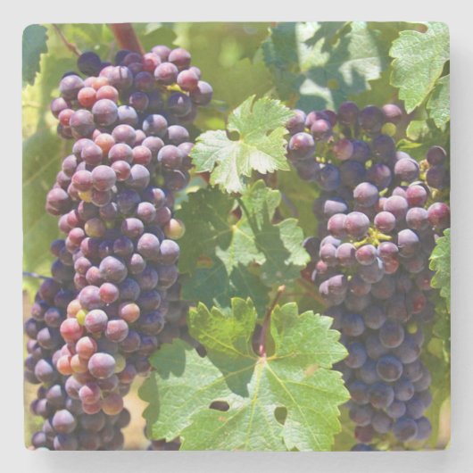 Trauben Steinuntersetzer (Vorderseite)