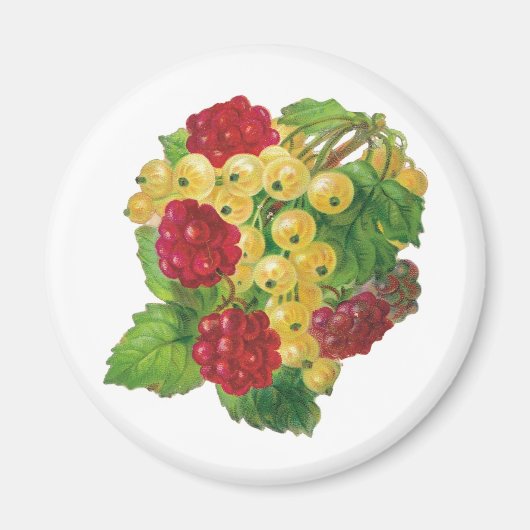 Trauben- und Berries-Magnete Magnet (Vorne)