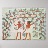 Trauben vom Grab von Nakht pflücken Poster (Vorne)