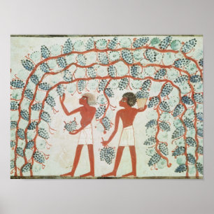 Trauben vom Grab von Nakht pflücken Poster