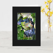 Trauben von Napa Karte (Gelbe Blume)