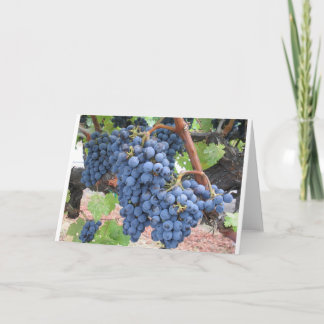 Trauben von Napa Valley Karte