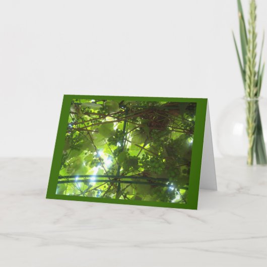 Trauben von Patience w Border Karte (Vorderseite)