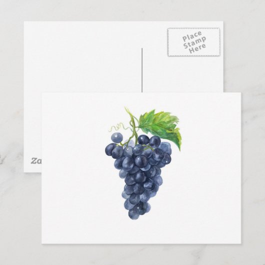 Trauben. Wasserfarbe Postkarte (Vorne/Hinten)