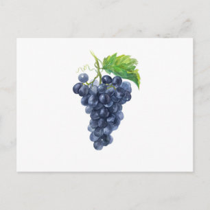 Trauben. Wasserfarbe Postkarte