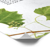 Trauben Weinberg Griechische Insel Hochzeit Seekar Poster (Ecke)