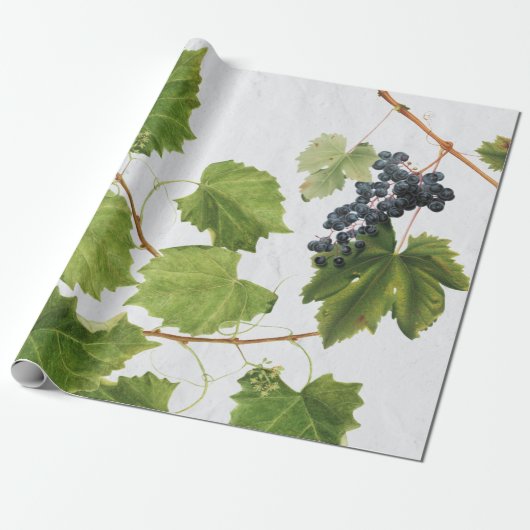 Trauben Weinberge Mittelmeer Griechische Insel Geschenkpapier (Ungerollt)