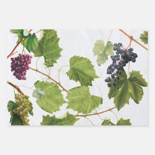 Trauben Weinberge Mittelmeer Griechische Insel Geschenkpapier Set (Vorderseite 3)