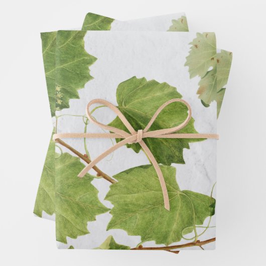 Trauben Weinberge Mittelmeer Griechische Insel Geschenkpapier Set (Beispiel)