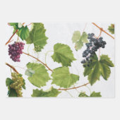 Trauben Weinberge Mittelmeer Griechische Insel Geschenkpapier Set (Vorderseite)