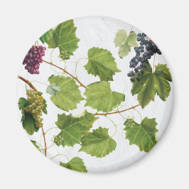 Trauben Weinberge Mittelmeer Griechische Insel Magnet