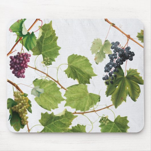 Trauben Weinberge Mittelmeer Griechische Insel Mousepad (Vorne)