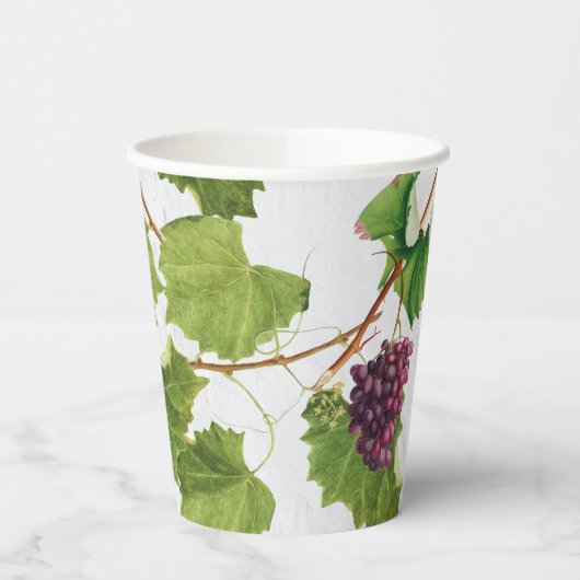 Trauben Weinberge Mittelmeer Griechische Insel Pappbecher (Links)