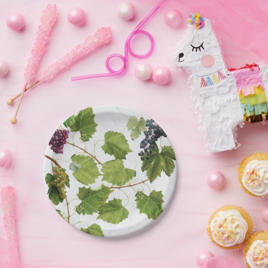 Trauben Weinberge Mittelmeer Griechische Insel Pappteller (Party)