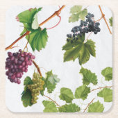 Trauben Weinberge Mittelmeer Griechische Insel Rechteckiger Pappuntersetzer (Vorderseite)