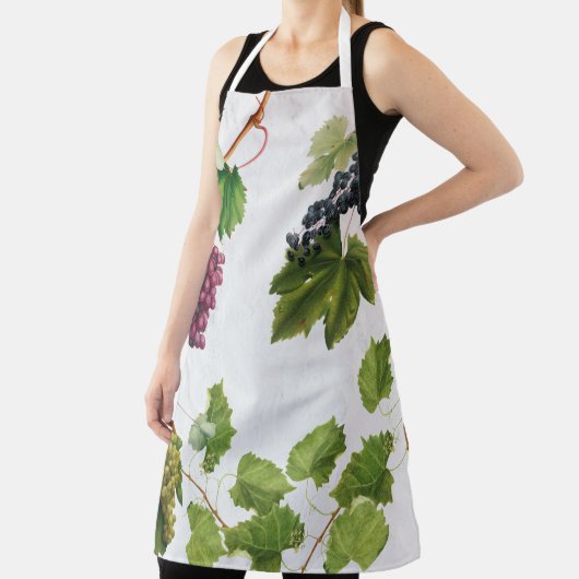 Trauben Weinberge Mittelmeer Griechische Insel Schürze (InSitu)