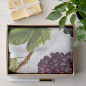 Trauben Weinberge Mittelmeer Griechische Insel Seidenpapier (Geschenk)