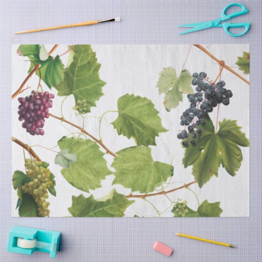 Trauben Weinberge Mittelmeer Griechische Insel Seidenpapier (Basteln)