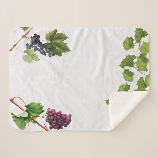 Trauben Weinberge Mittelmeer Griechische Insel Sherpadecke (Vorderseite (Horizontal))