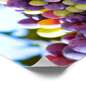 Traubenbänder Poster (Ecke)