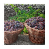 Traubenernte Fliese (Vorderseite)