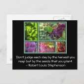 Traubenernte Herbst Collage mit Zitat. Postkarte (Vorne/Hinten)