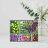 Traubenernte im Herbst Postkarte (Stehend Vorderseite)