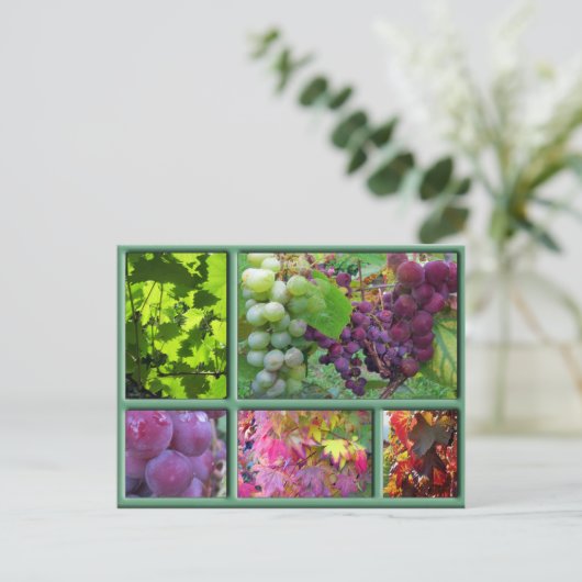 Traubenernte im Herbst Postkarte (Stehend Vorderseite)