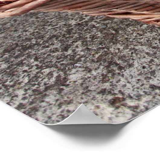 Traubenernte Poster (Ecke)