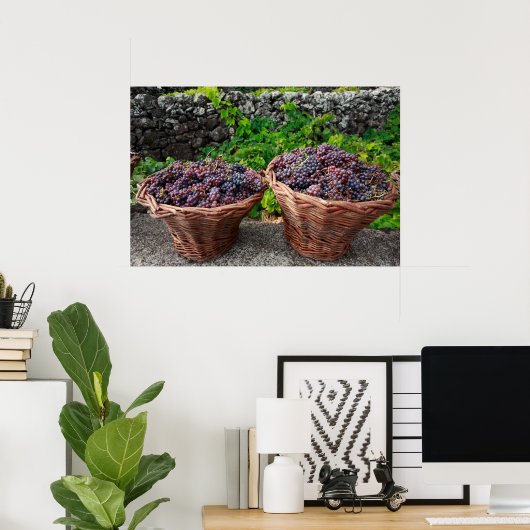 Traubenernte Poster (Heimbüro)